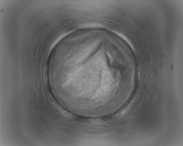 X0000074230983200609081616