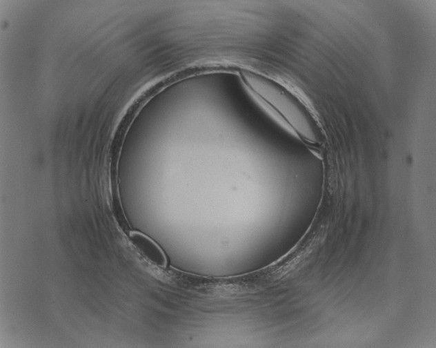 X0000074230984200609081616