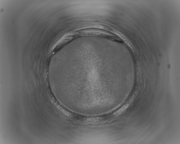 X0000074230985200609081616