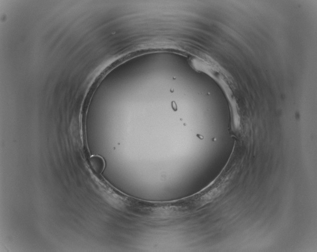 X0000074230988200609081616