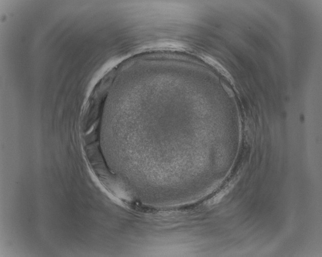 X0000074230989200609081616