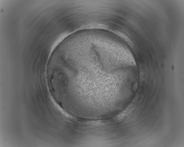 X0000074230990200609081616