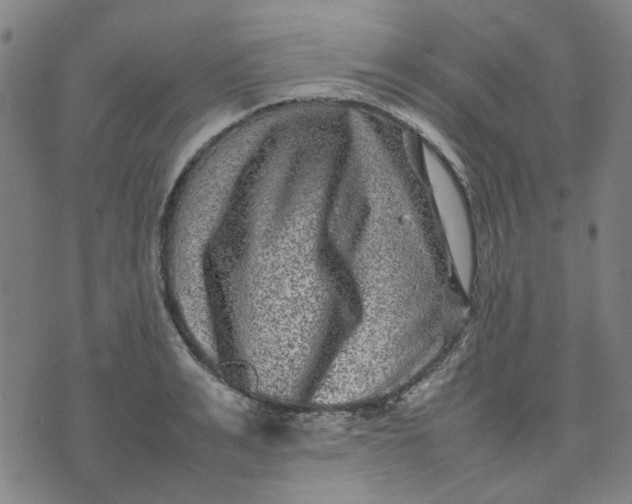 X0000074230991200609081616