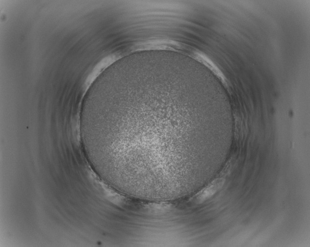 X0000074230994200609081616