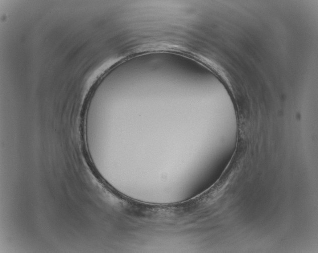 X0000074230995200609081616