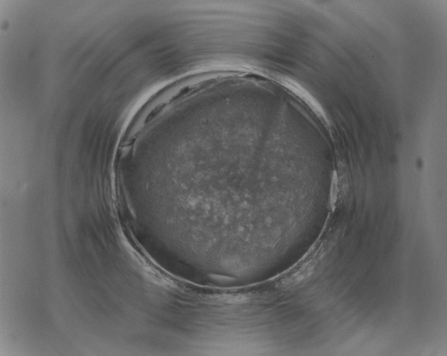 X0000074230996200609081616