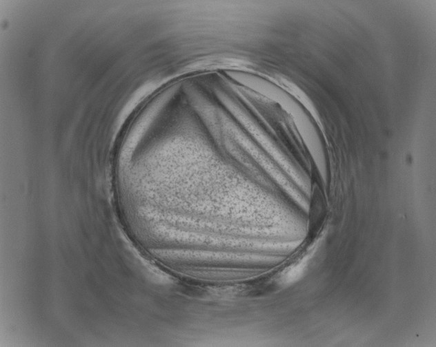 X0000074230997200609081616