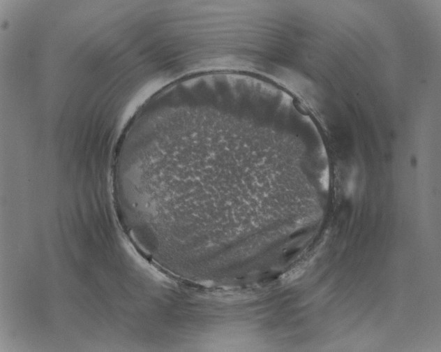 X0000074230998200609081616