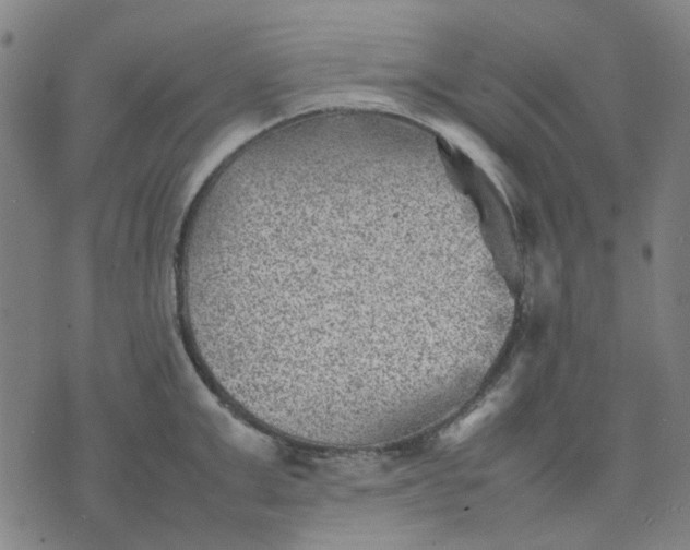 X0000074230999200609081616