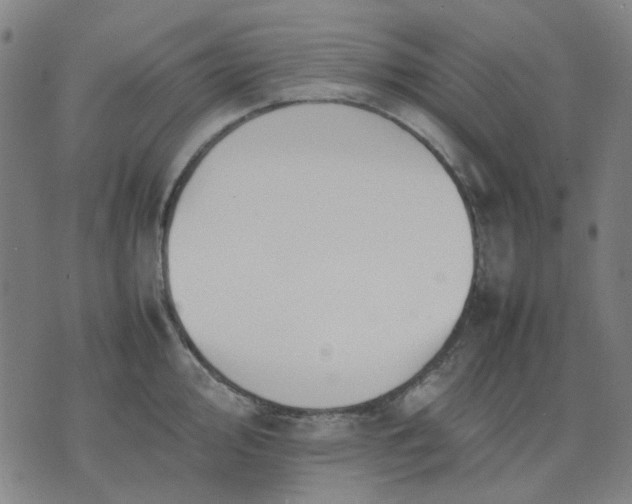 X0000074231000200609081616