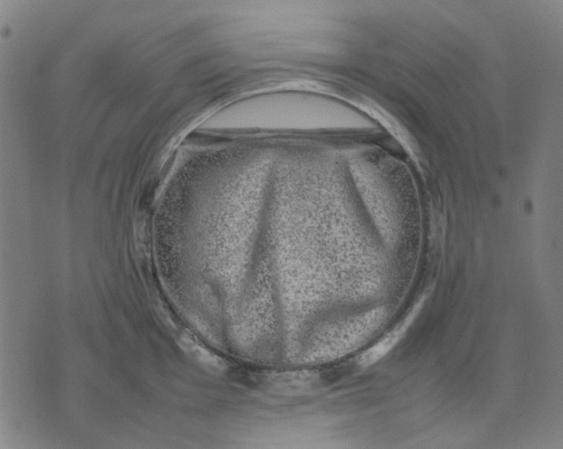 X0000074231001200609081616