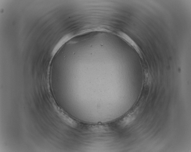 X0000074231002200609081616