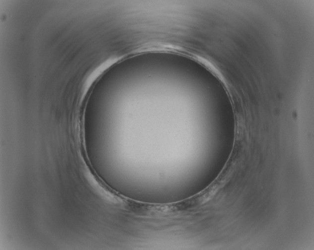 X0000074231003200609081616