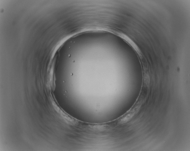 X0000074231004200609081616