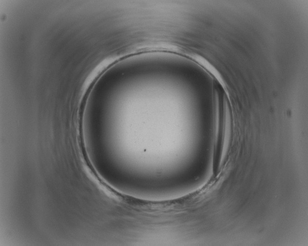 X0000074231005200609081616