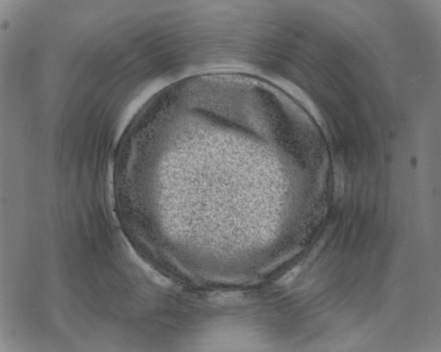 X0000074231006200609081616