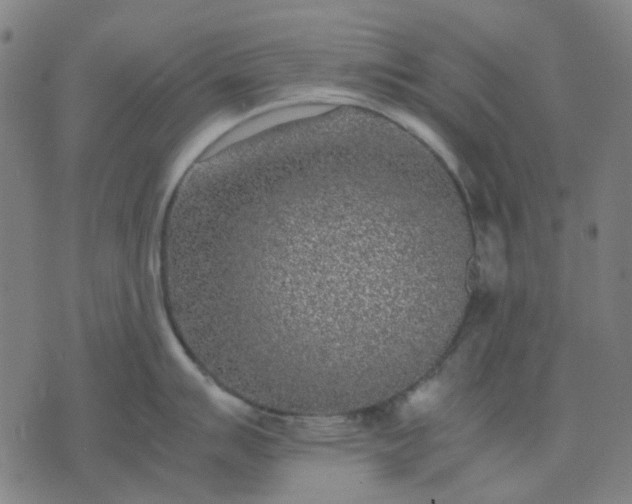 X0000074231007200609081616