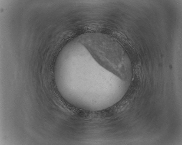 X0000074231009200609081615