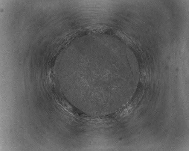 X0000074231010200609081615