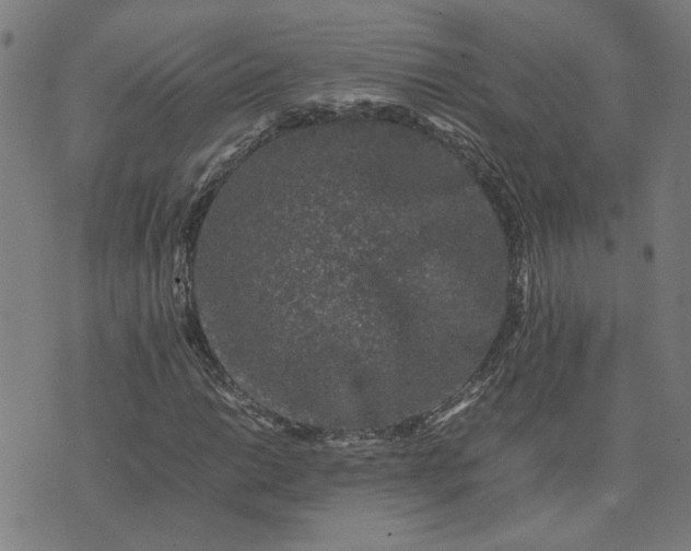 X0000074231014200609081615