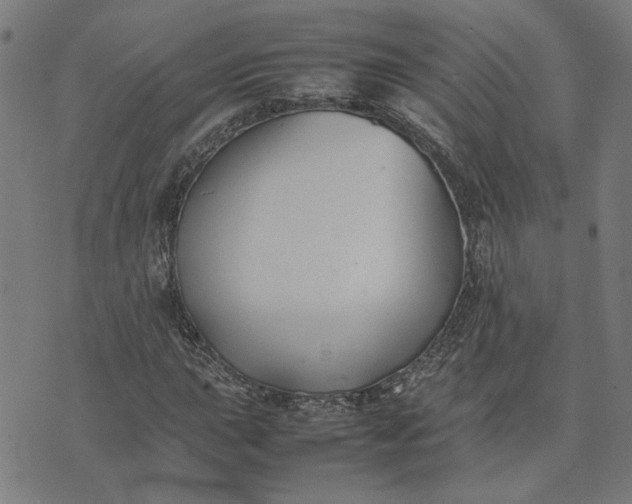 X0000074231015200609081615