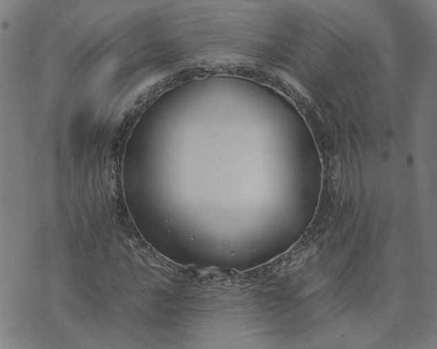 X0000074231016200609081615