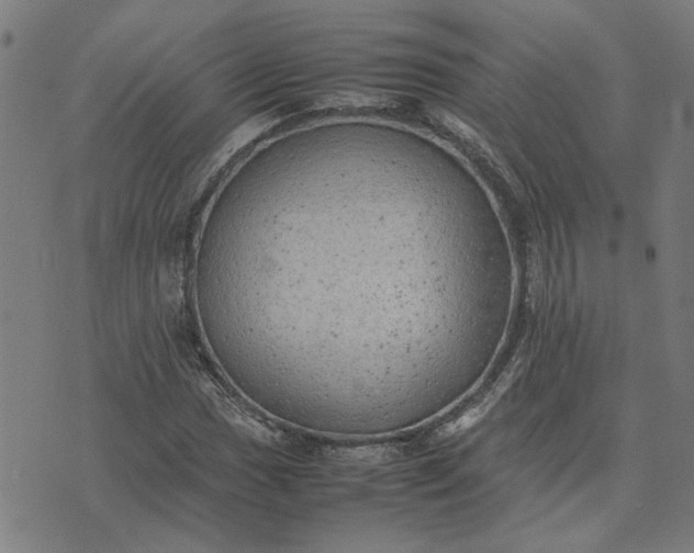 X0000074231017200609081615