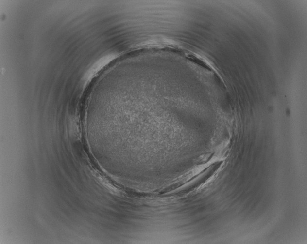 X0000074231018200609081615