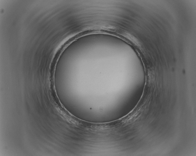 X0000074231020200609081615