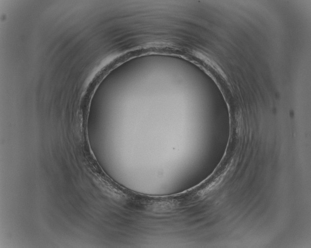 X0000074231021200609081615