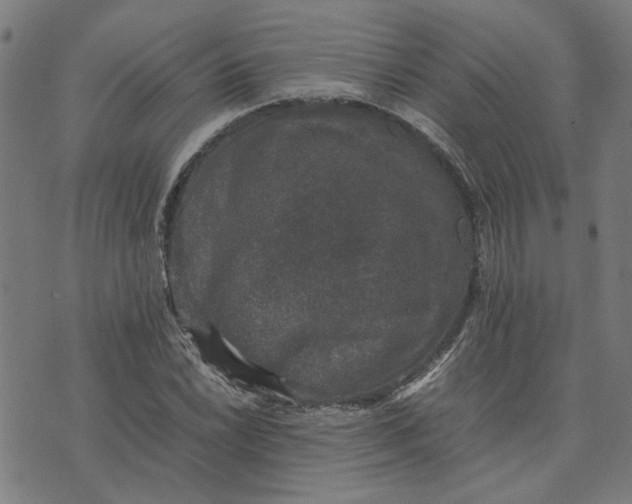 X0000074231022200609081615