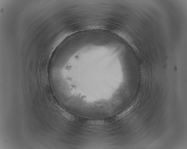 X0000074231023200609081615