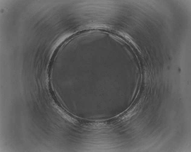 X0000074231024200609081615