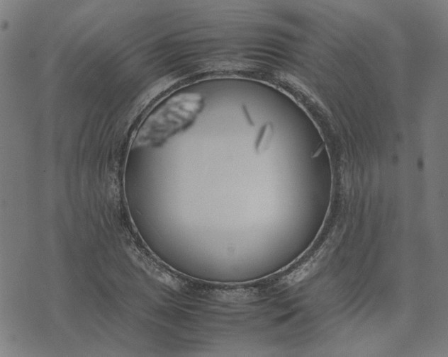 X0000074231025200609081615