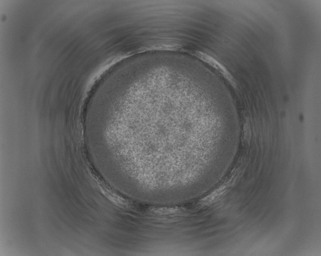 X0000074231027200609081616