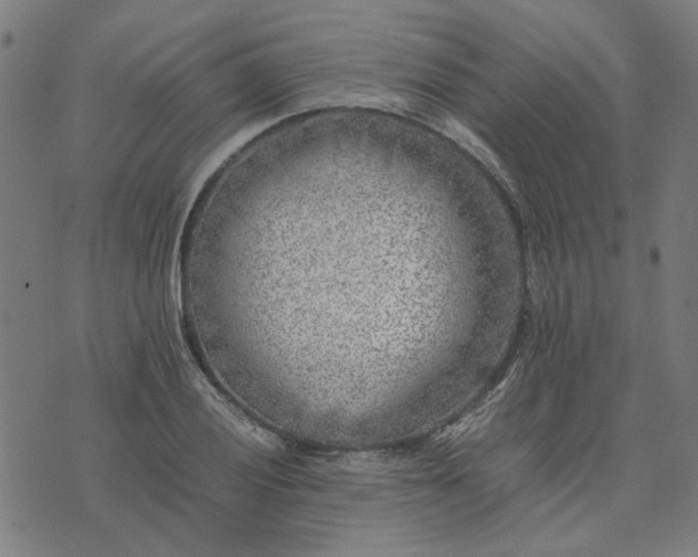 X0000074231028200609081616