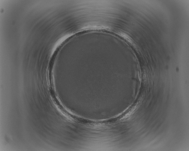 X0000074231030200609081616