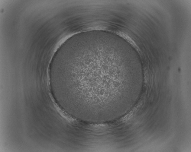 X0000074231031200609081616