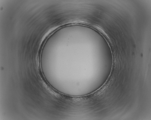 X0000074231032200609081616