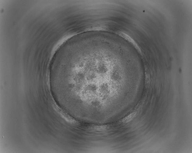 X0000074231035200609081616