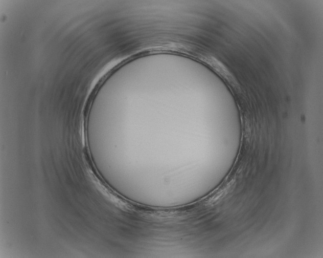 X0000074231036200609081616