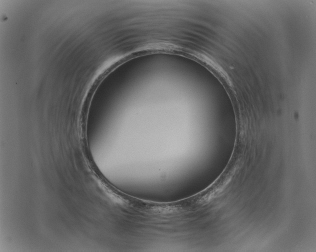 X0000074231037200609081616