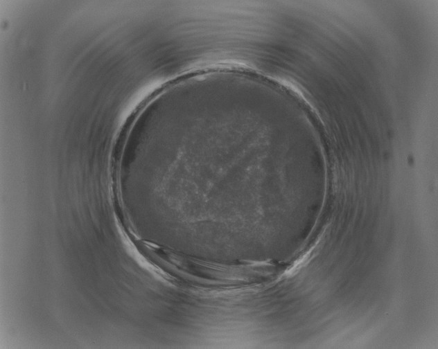 X0000074231038200609081616