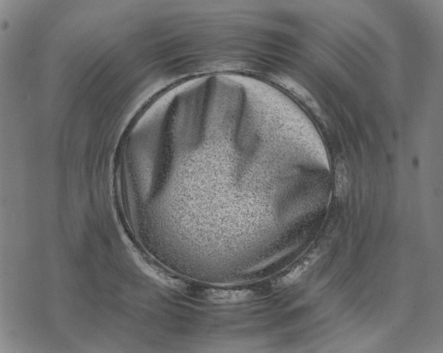 X0000074231039200609081616