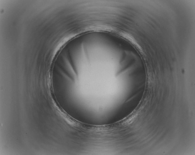 X0000074231040200609081616