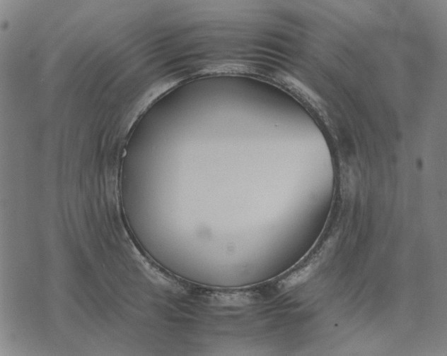 X0000074231041200609081616