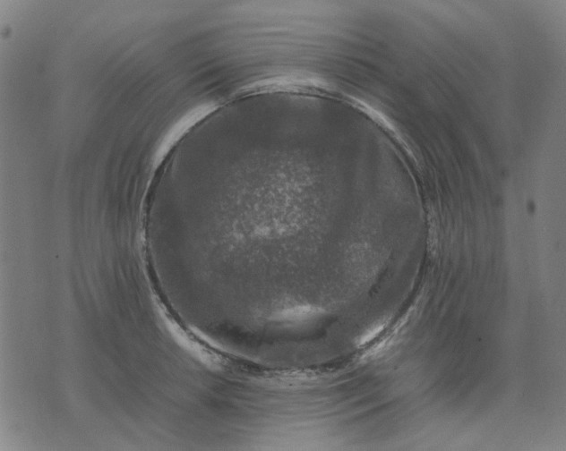 X0000074231042200609081616