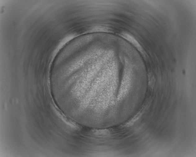 X0000074231043200609081616