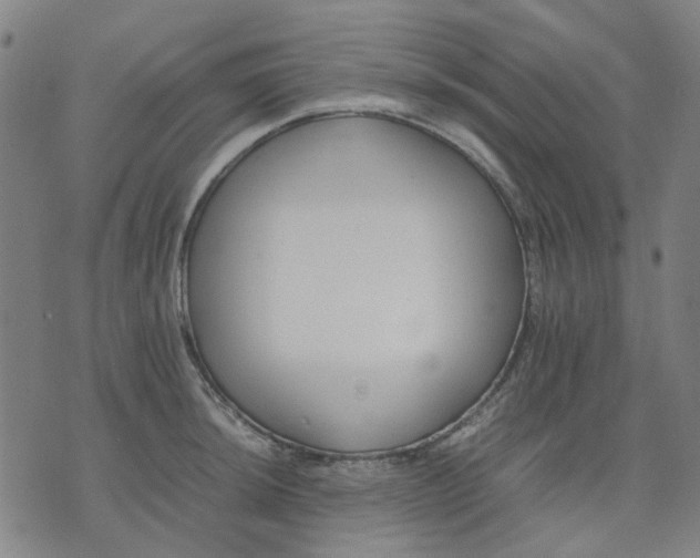 X0000074231044200609081616