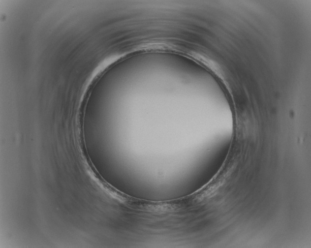 X0000074231045200609081616